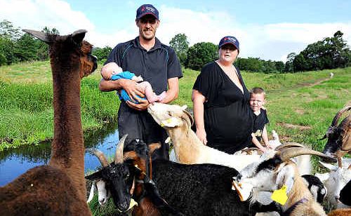 Wayne and Julie Williams and their children on the land housing the animal farm. Wayne and Julie Williams and their children on the land housing the animal farm.